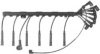 BERU ZE759 Ignition Cable Kit